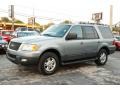 Pewter Metallic - Expedition XLT Photo No. 2