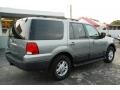 Pewter Metallic - Expedition XLT Photo No. 9