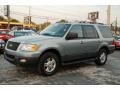 Pewter Metallic - Expedition XLT Photo No. 33