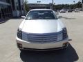 Light Platinum - CTS Sedan Photo No. 7