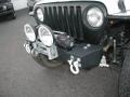 Stone White - Wrangler Sahara 4x4 Photo No. 42