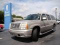 Quicksilver - Escalade ESV AWD Photo No. 35