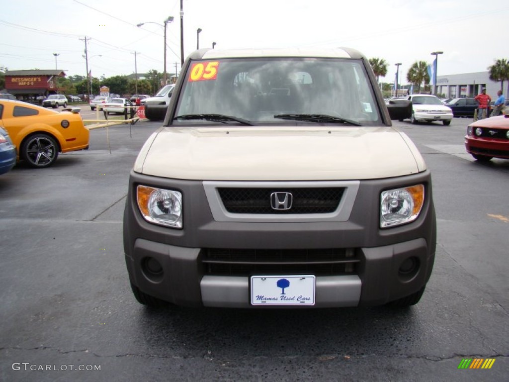 2005 Element EX AWD - Cargo Khaki / Black/Gray photo #3
