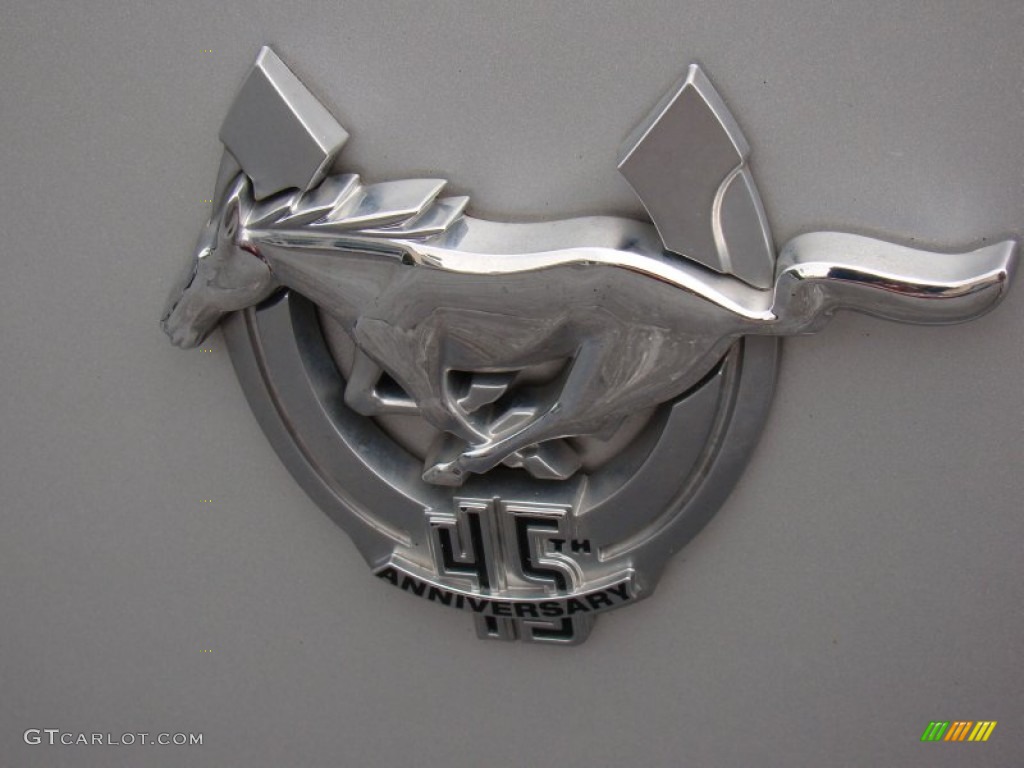 2009 Mustang V6 Coupe - Brilliant Silver Metallic / Dark Charcoal photo #29