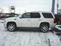 White Diamond - Escalade AWD Photo No. 5