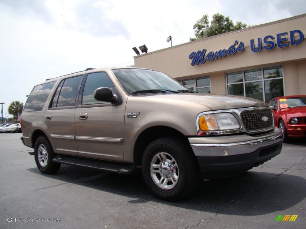 2001 Expedition XLT - Arizona Beige Metallic / Medium Parchment photo #2