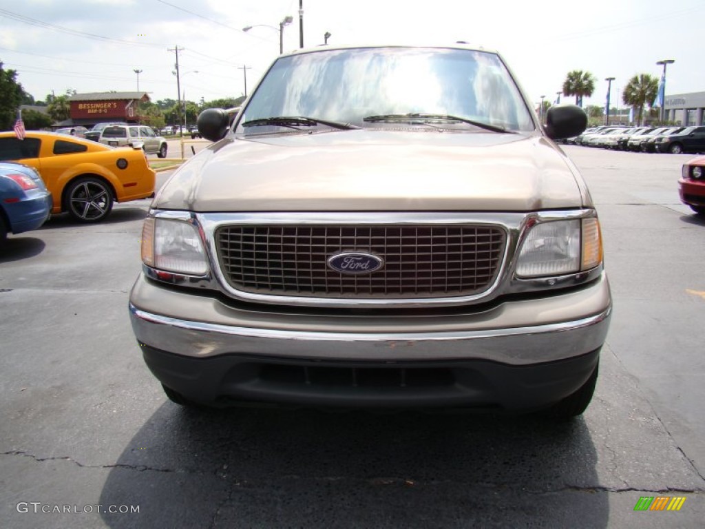 2001 Expedition XLT - Arizona Beige Metallic / Medium Parchment photo #3