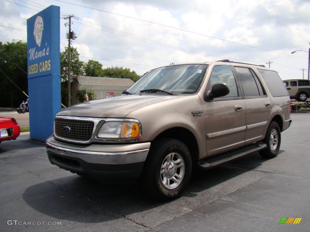 2001 Expedition XLT - Arizona Beige Metallic / Medium Parchment photo #4