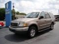 Arizona Beige Metallic - Expedition XLT Photo No. 4