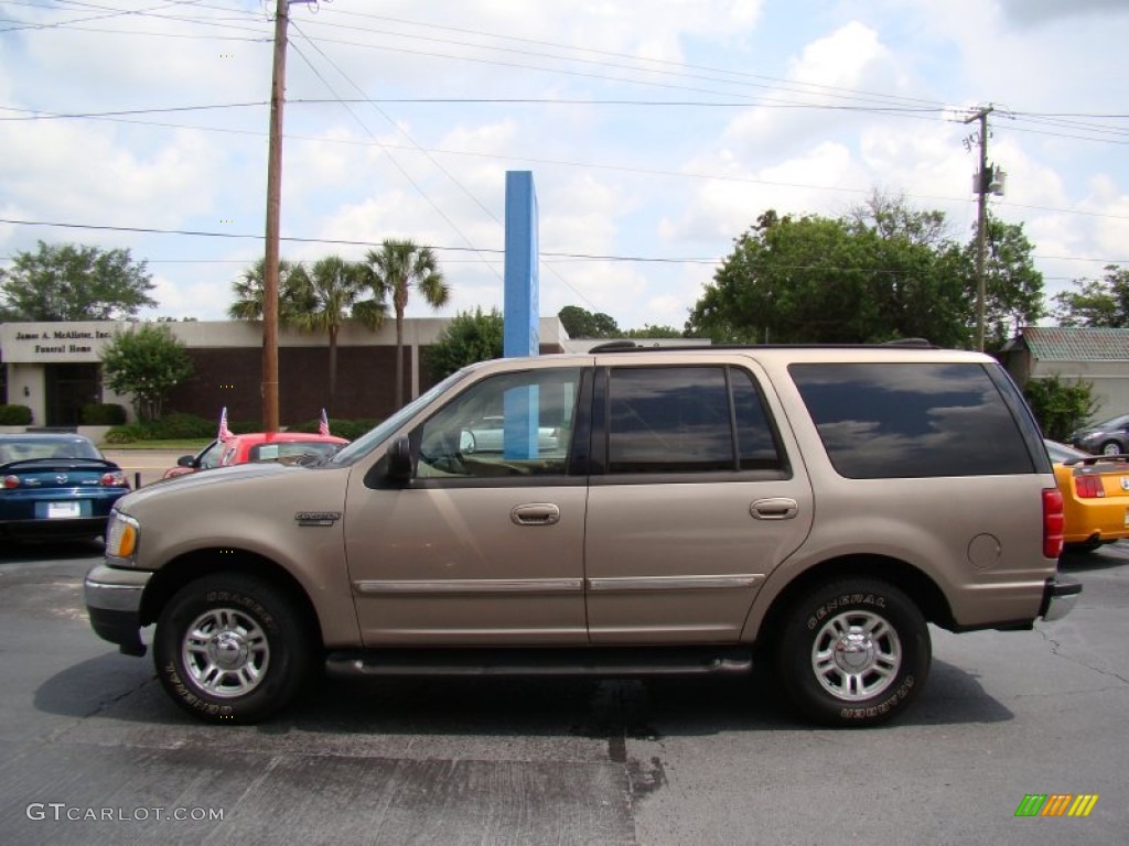 2001 Expedition XLT - Arizona Beige Metallic / Medium Parchment photo #5