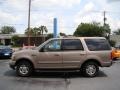 Arizona Beige Metallic - Expedition XLT Photo No. 5