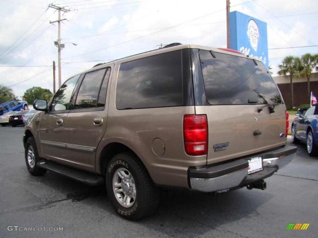 2001 Expedition XLT - Arizona Beige Metallic / Medium Parchment photo #6