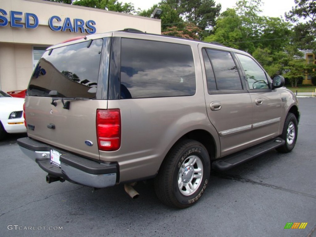 2001 Expedition XLT - Arizona Beige Metallic / Medium Parchment photo #8