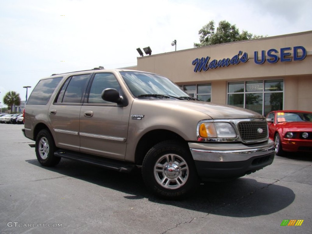 2001 Expedition XLT - Arizona Beige Metallic / Medium Parchment photo #30