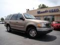 Arizona Beige Metallic - Expedition XLT Photo No. 30