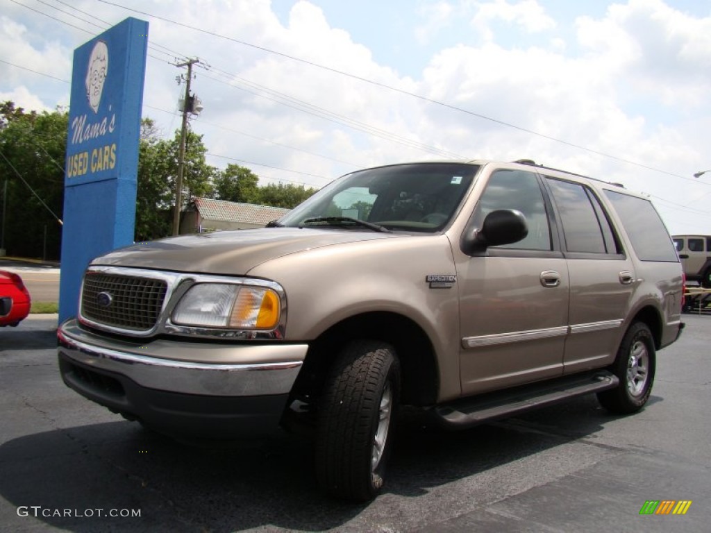 2001 Expedition XLT - Arizona Beige Metallic / Medium Parchment photo #31