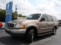 Arizona Beige Metallic - Expedition XLT Photo No. 31
