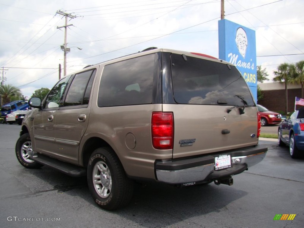 2001 Expedition XLT - Arizona Beige Metallic / Medium Parchment photo #32