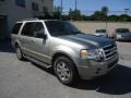 Vapor Silver Metallic - Expedition XLT 4x4 Photo No. 4