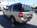 Vapor Silver Metallic - Expedition XLT 4x4 Photo No. 9