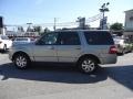 Vapor Silver Metallic - Expedition XLT 4x4 Photo No. 10