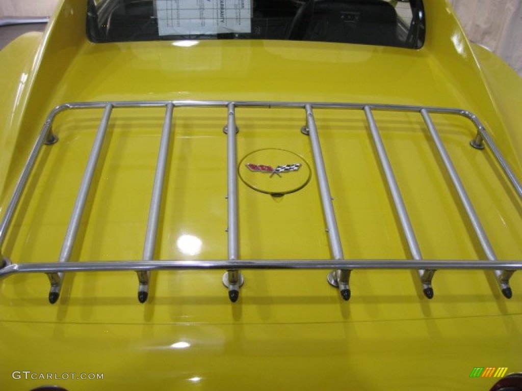 1977 Chevrolet Corvette Coupe Luggage Rack Photo #66071702