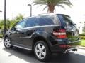 Black - ML 350 Photo No. 8