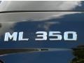Black - ML 350 Photo No. 9