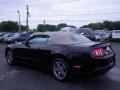 Black - Mustang V6 Premium Convertible Photo No. 7