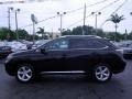 2010 Obsidian Black Lexus RX 350 AWD  photo #6