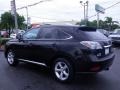 2010 Obsidian Black Lexus RX 350 AWD  photo #7