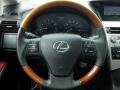 2010 Obsidian Black Lexus RX 350 AWD  photo #25