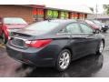 2011 Pacific Blue Pearl Hyundai Sonata Limited  photo #15