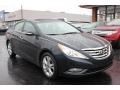2011 Pacific Blue Pearl Hyundai Sonata Limited  photo #19
