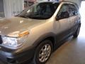 Platinum Metallic - Rendezvous CX AWD Photo No. 2