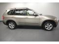 Platinum Bronze Metallic - X5 xDrive30i Photo No. 2