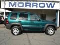 Timberline Green Pearl 2004 Jeep Liberty Sport 4x4