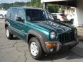 Timberline Green Pearl 2004 Jeep Liberty Gallery