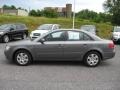 Willow Gray - Sonata GLS Photo No. 2