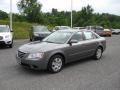 Willow Gray - Sonata GLS Photo No. 3