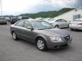 Willow Gray - Sonata GLS Photo No. 5