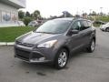 Sterling Gray Metallic 2013 Ford Escape Gallery