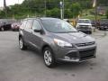 2013 Sterling Gray Metallic Ford Escape SE 1.6L EcoBoost 4WD  photo #4