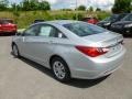 Radiant Silver - Sonata GLS Photo No. 5