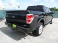 2010 Tuxedo Black Ford F150 FX4 SuperCrew 4x4  photo #3