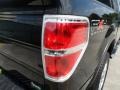 2010 Tuxedo Black Ford F150 FX4 SuperCrew 4x4  photo #15