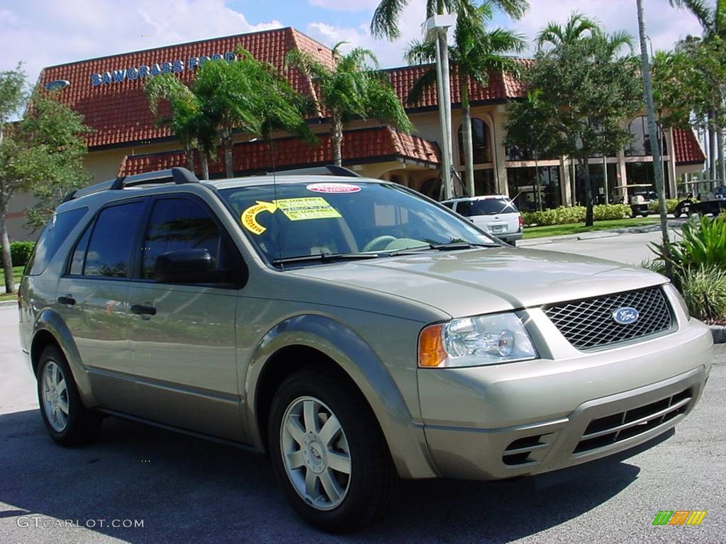 2005 Freestyle SE - Pueblo Gold Metallic / Pebble photo #1