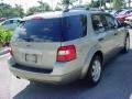 2005 Pueblo Gold Metallic Ford Freestyle SE  photo #3