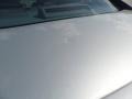 Liquid Silver Metallic - Maxima 3.5 SE Photo No. 20