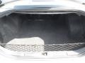 Liquid Silver Metallic - Maxima 3.5 SE Photo No. 27